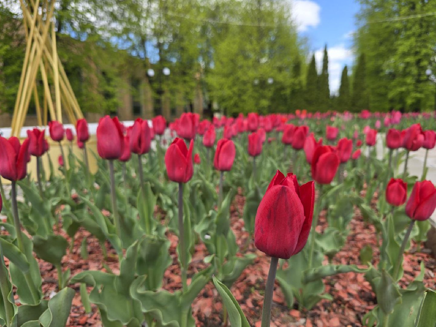 можайск, можайский муниципальный округ, подмосковье, день победы, благоустройство, украсили округ к 9 мая,