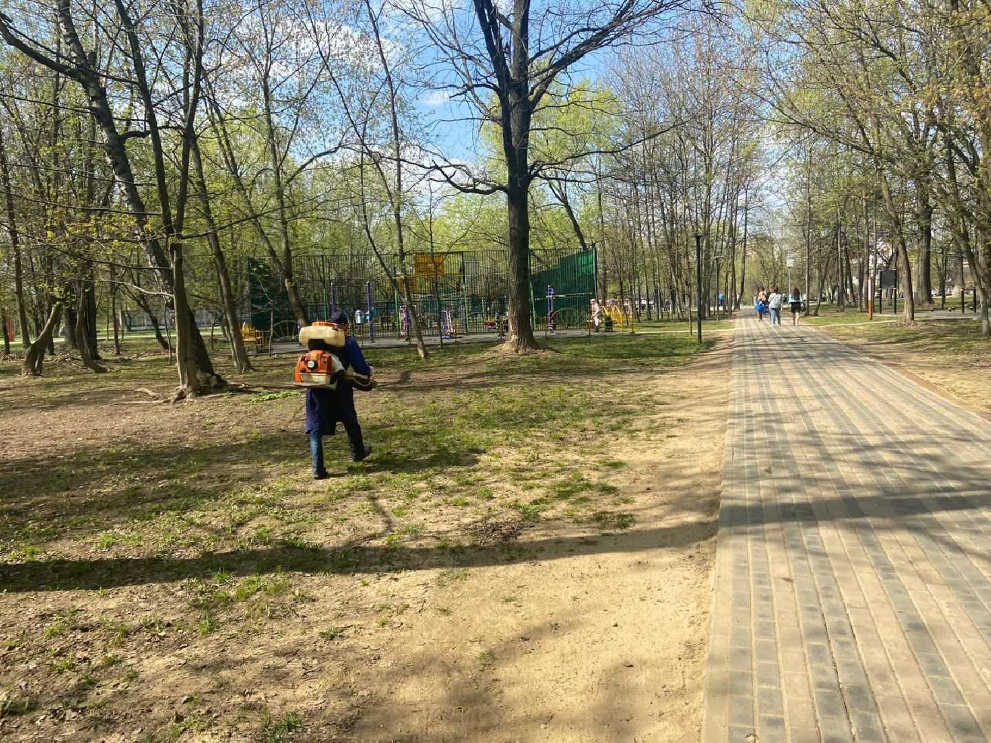 Реутов, центральный парк, клещи, обработка, природа, экология