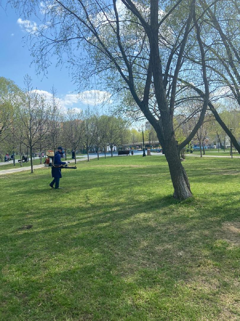 Реутов, центральный парк, клещи, обработка, природа, экология