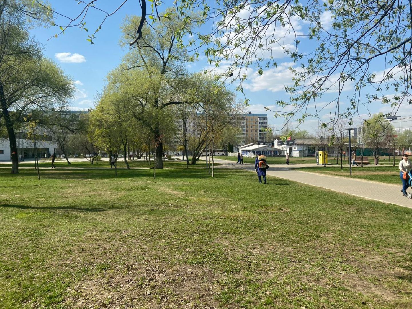 Реутов, центральный парк, клещи, обработка, природа, экология