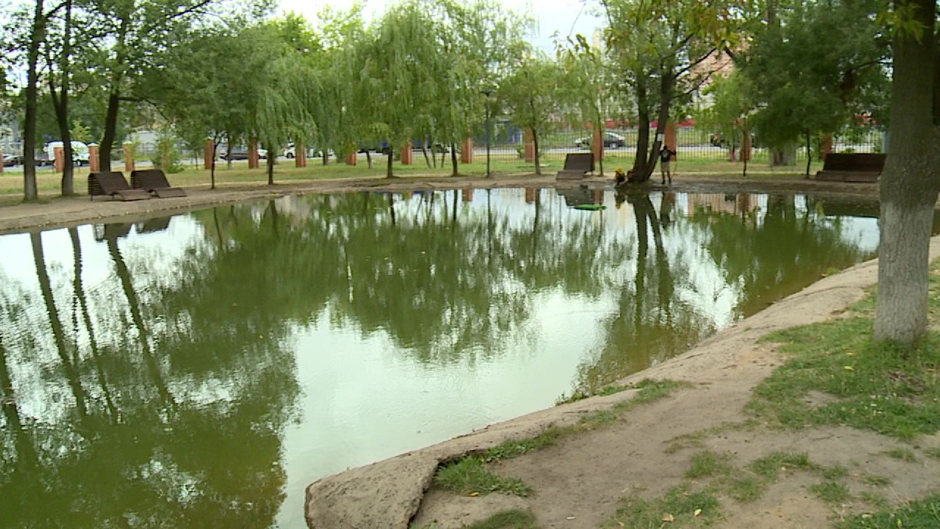 Реутов, центральный парк, клещи, обработка, природа, экология