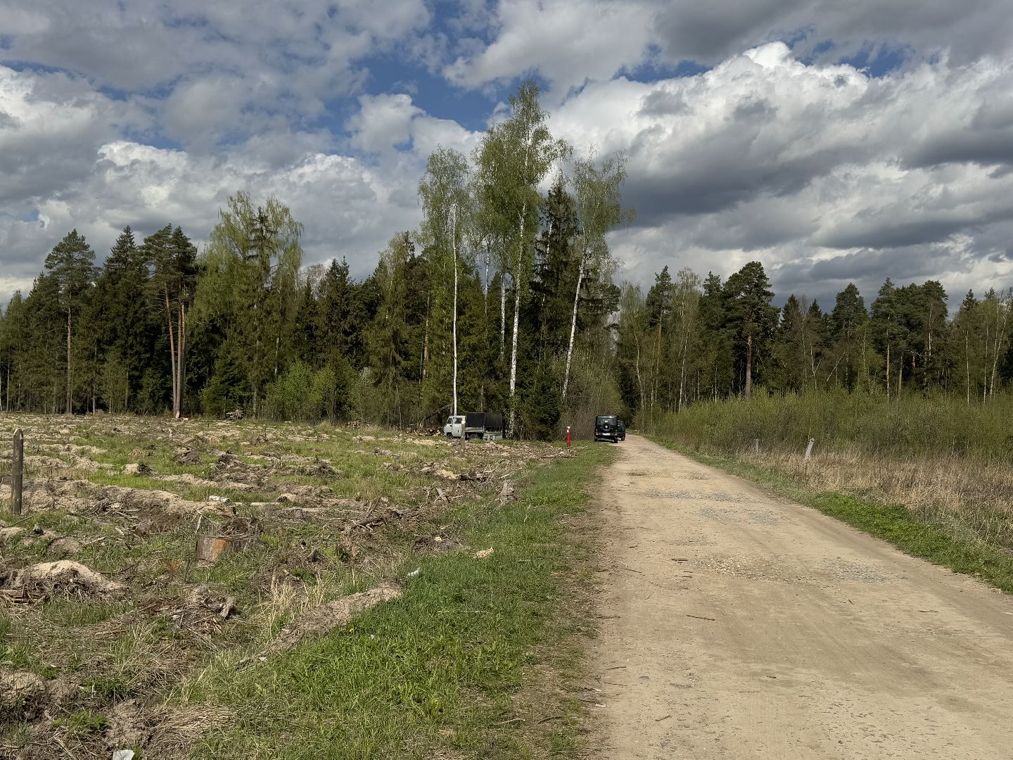 фк родина, балашиха, сад памяти,