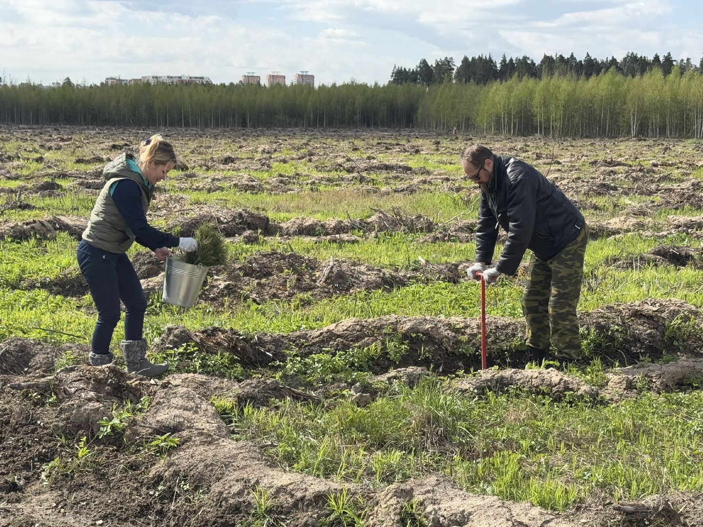 фк родина, балашиха, сад памяти,