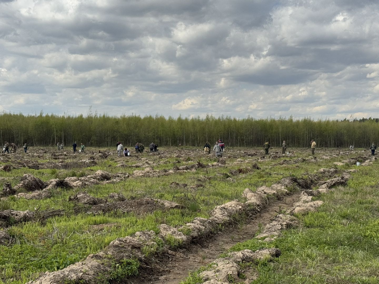 фк родина, балашиха, сад памяти,