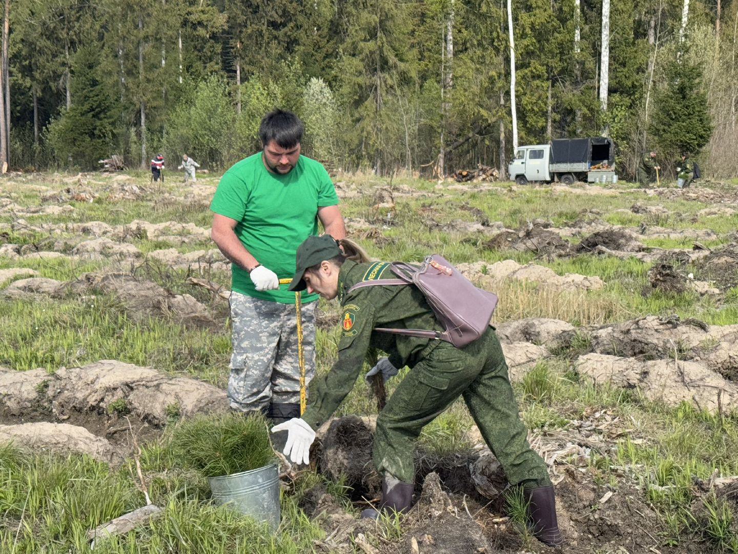 фк родина, балашиха, сад памяти,