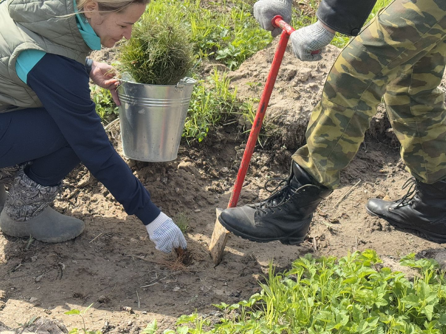 фк родина, балашиха, сад памяти,