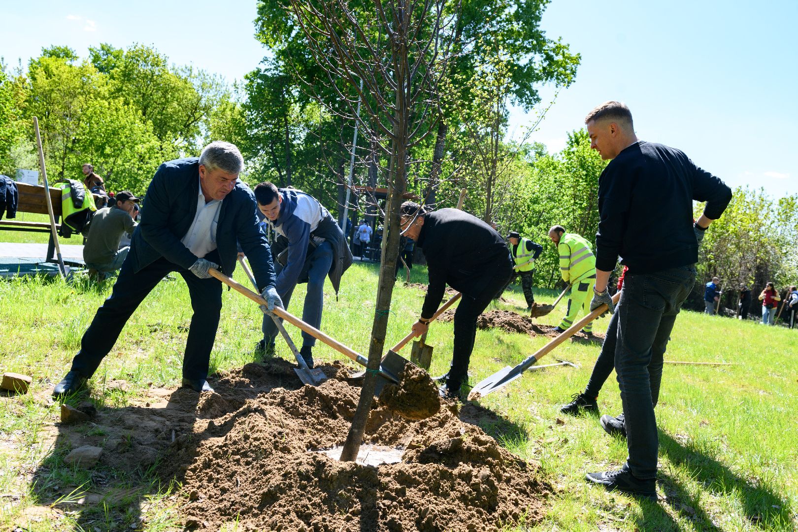 лыткарино, сад памяти, общество, патриотизм, акция сад памяти,