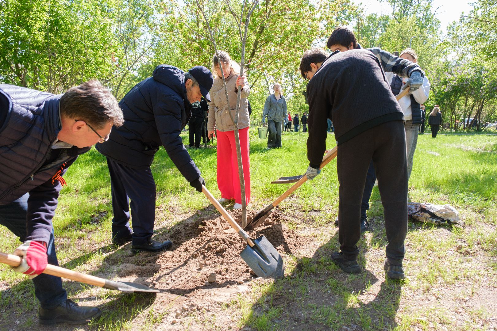 лыткарино, сад памяти, общество, патриотизм, акция сад памяти,