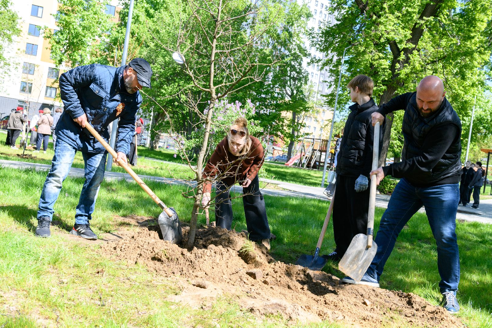 лыткарино, сад памяти, общество, патриотизм, акция сад памяти,
