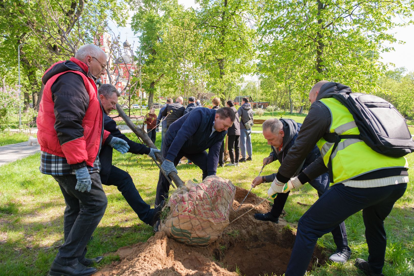 лыткарино, сад памяти, общество, патриотизм, акция сад памяти,
