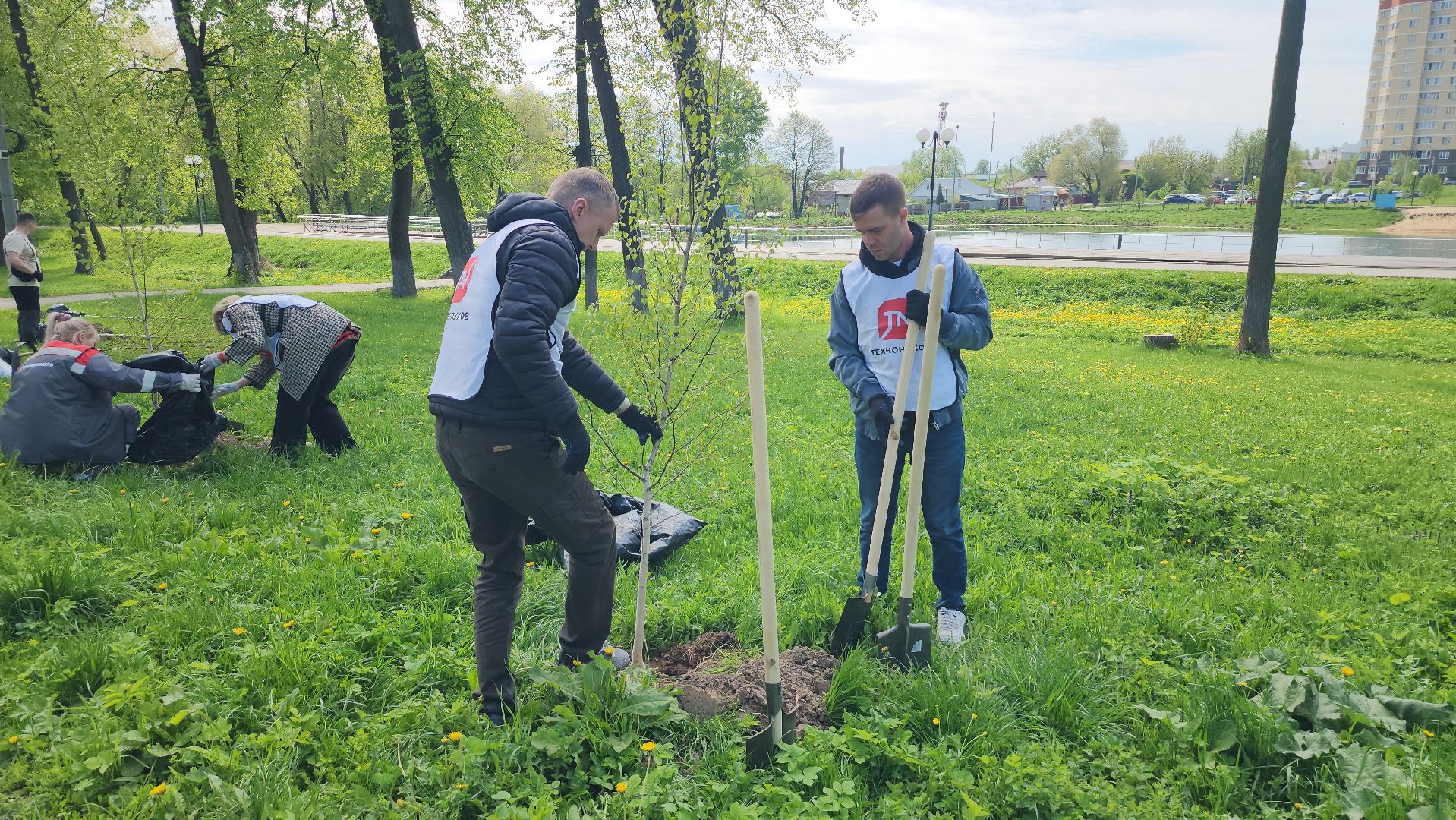 серпухов, парк жемчужина, сад памяти, сажали деревья, микрорайон имени ногина, юбилей победы,