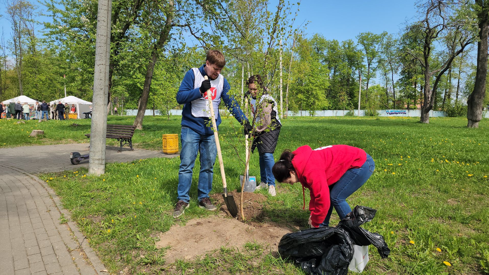 серпухов, парк жемчужина, сад памяти, сажали деревья, микрорайон имени ногина, юбилей победы,
