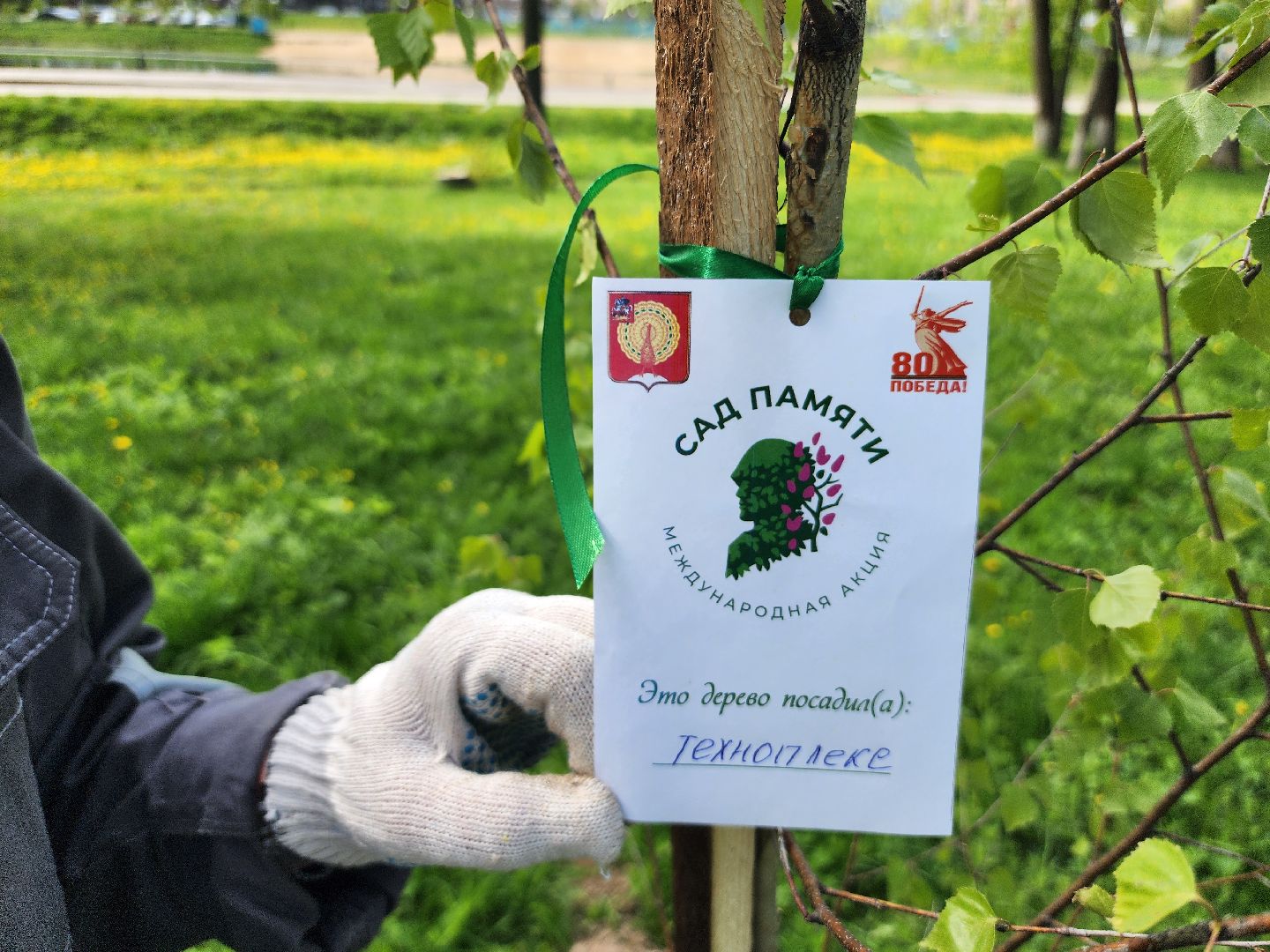 серпухов, парк жемчужина, сад памяти, сажали деревья, микрорайон имени ногина, юбилей победы,