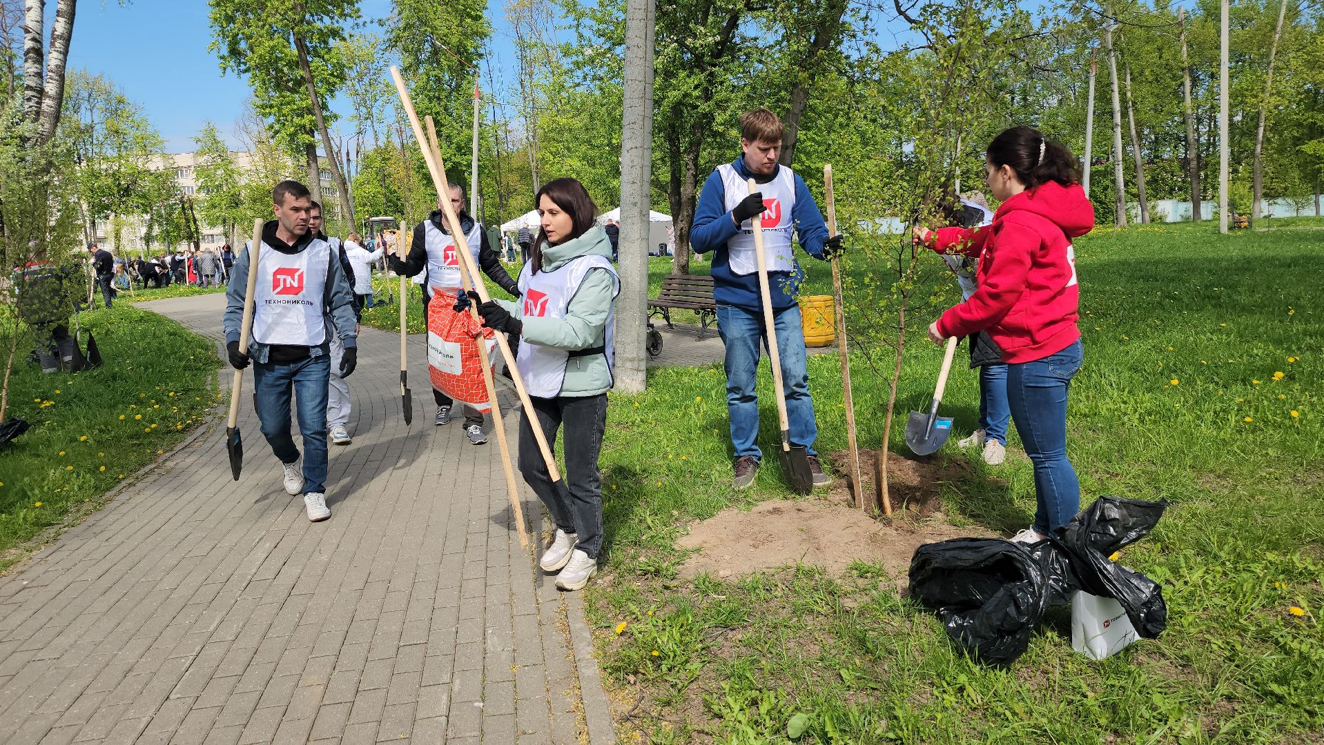 серпухов, парк жемчужина, сад памяти, сажали деревья, микрорайон имени ногина, юбилей победы,