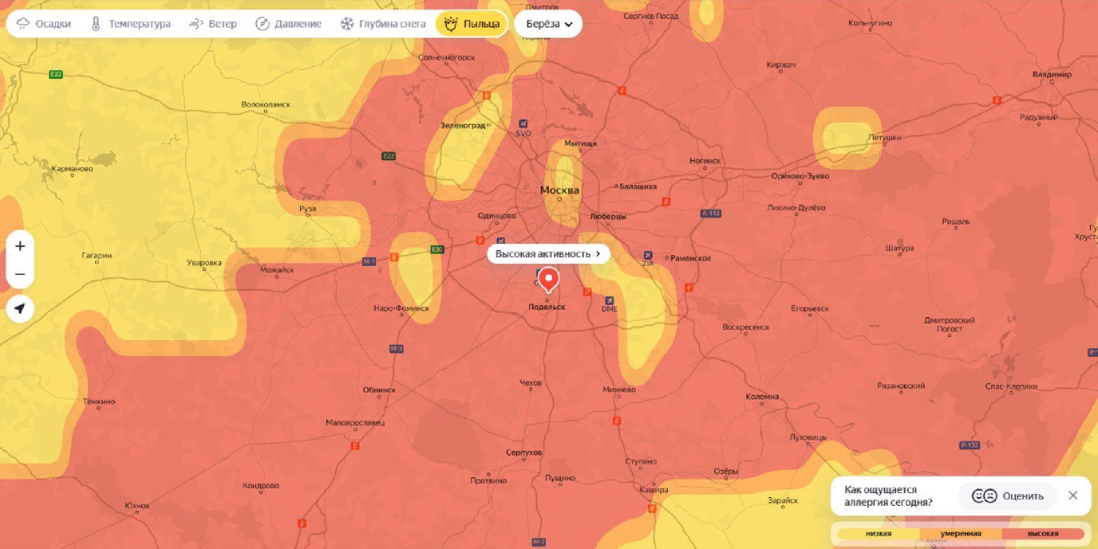 Подольск , аллергия, Пыльца березы, Полиноз,