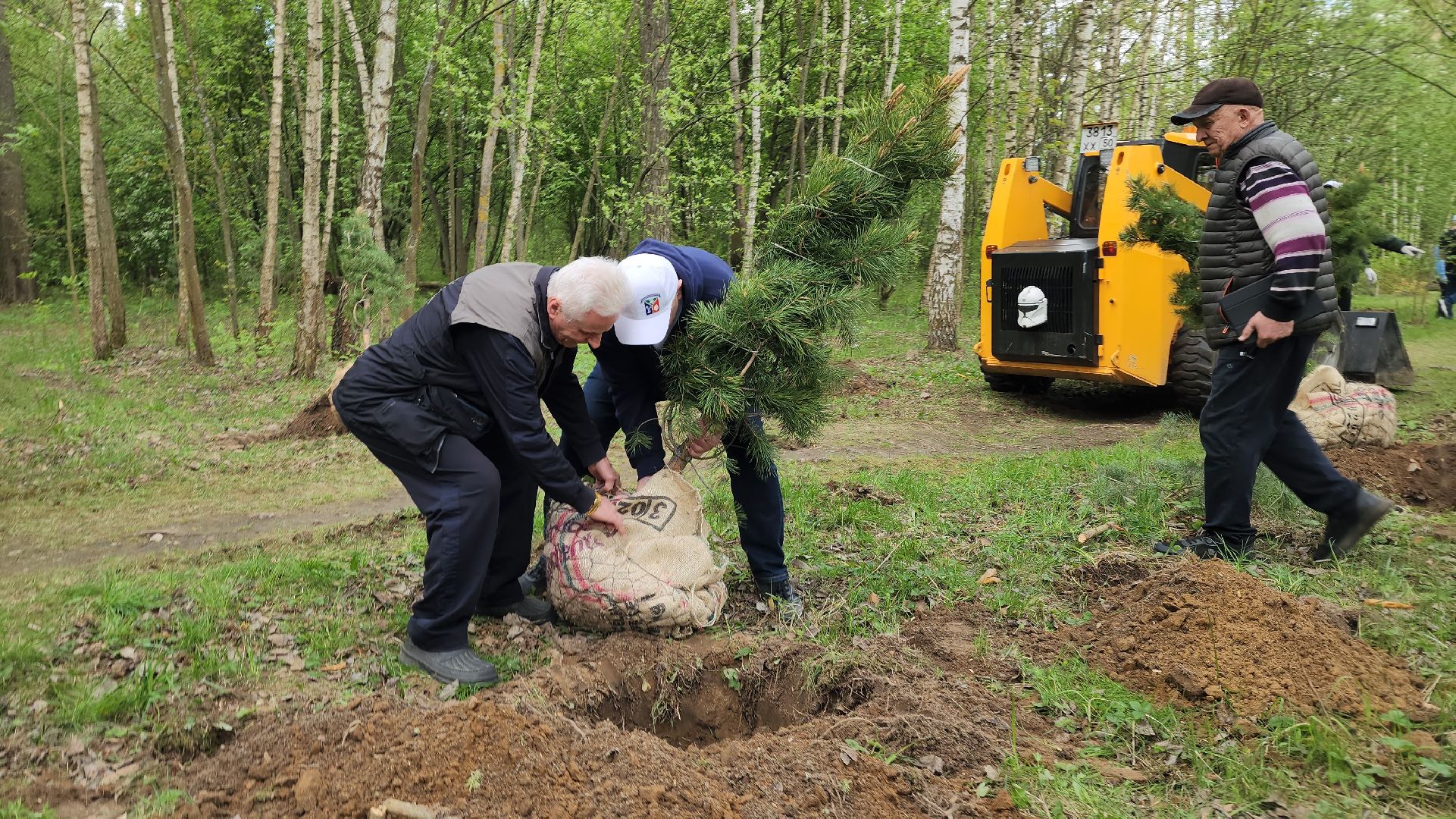 сад памяти, экологическая акция, экология, лосино-петровский,