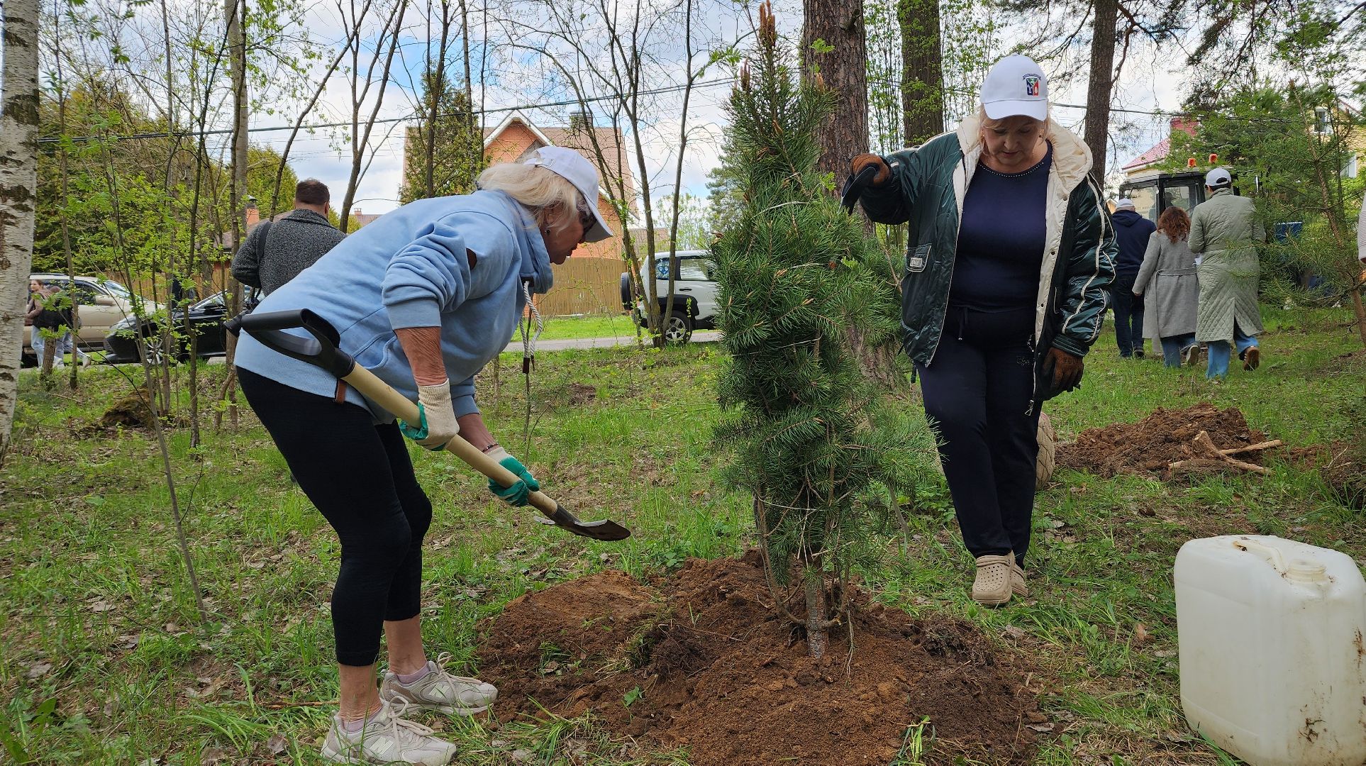 сад памяти, экологическая акция, экология, лосино-петровский,