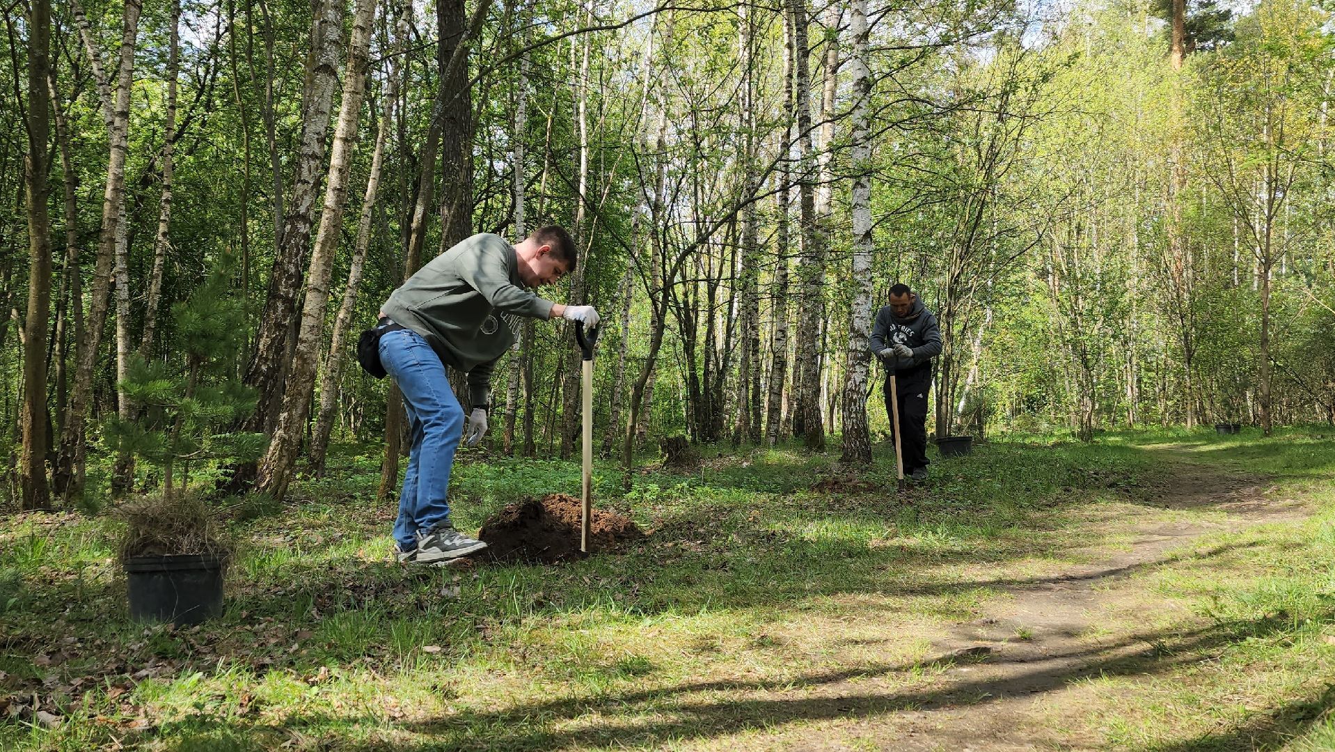 сад памяти, экологическая акция, экология, лосино-петровский,