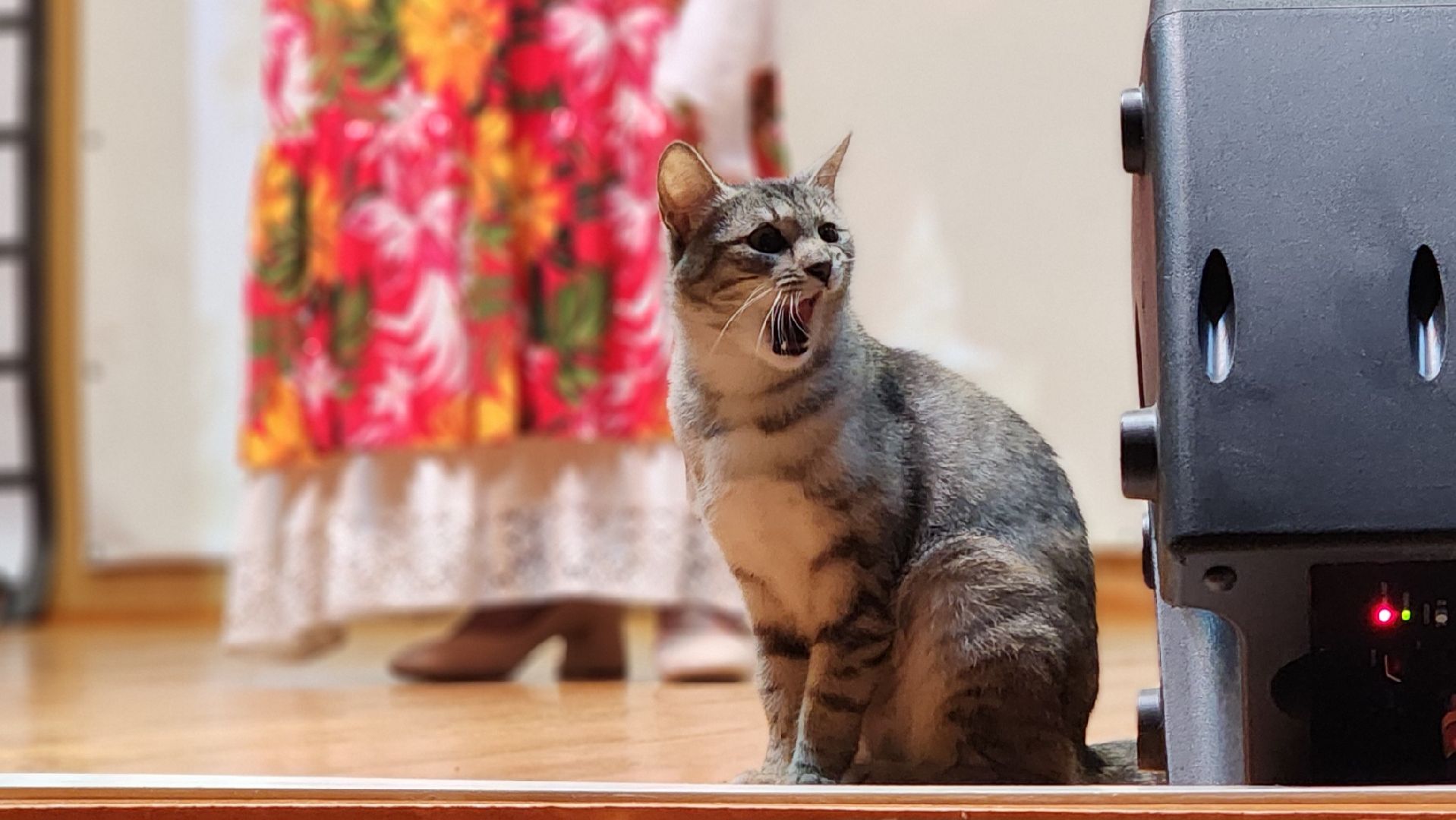 волоколамск, день победы, концерт,