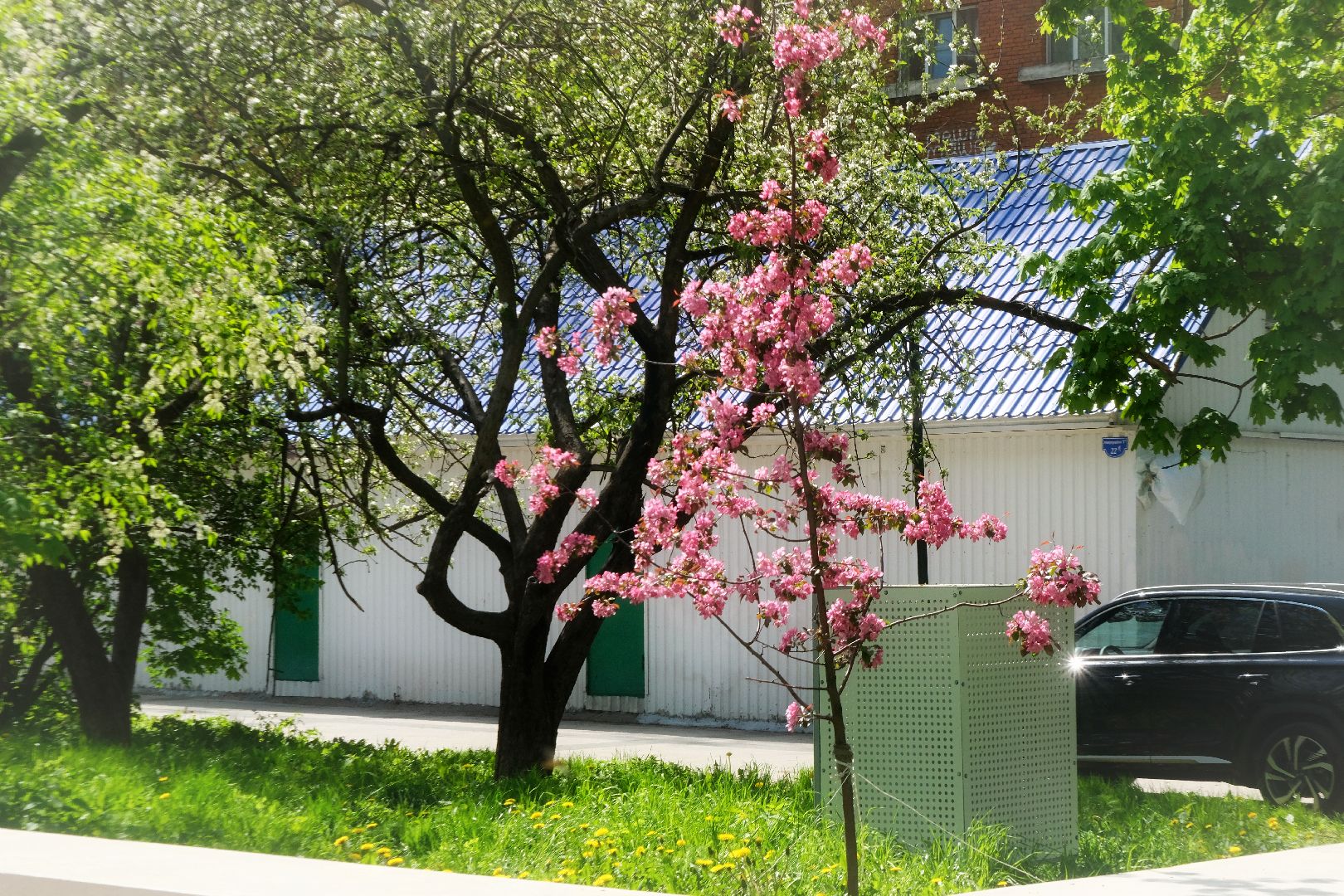 пущино, благоустройсво, серпухов,