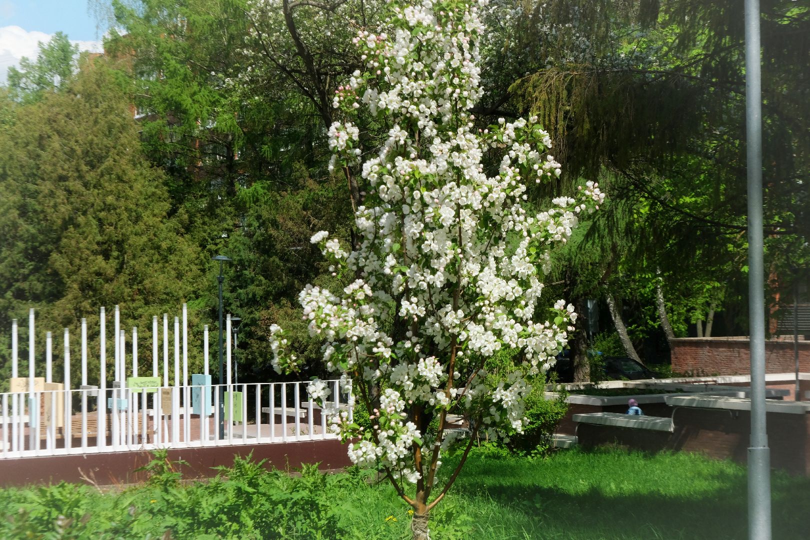 пущино, благоустройсво, серпухов,