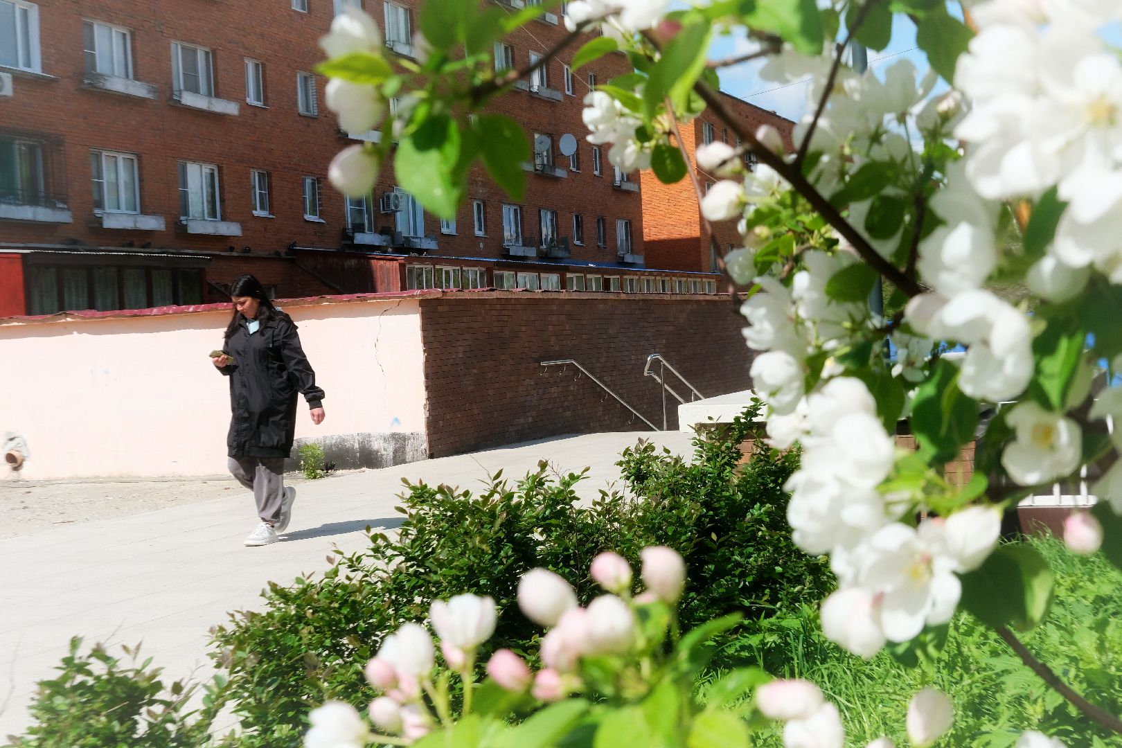 пущино, благоустройсво, серпухов,