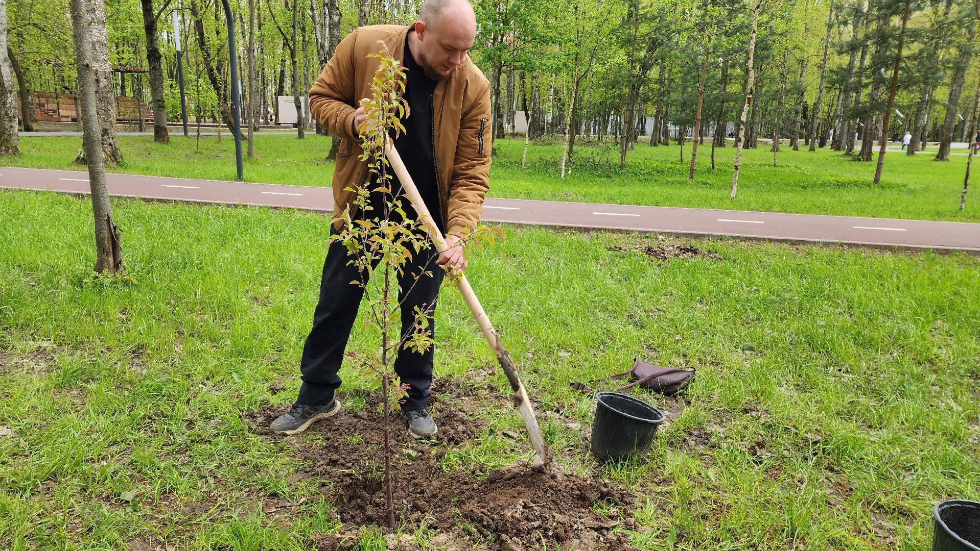 сад памяти, Лобня, Высадка деревьев ,