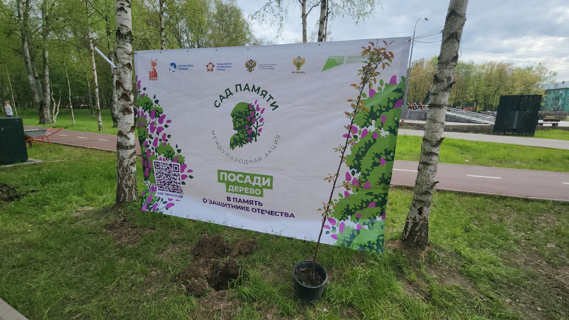 сад памяти, Лобня, Высадка деревьев ,