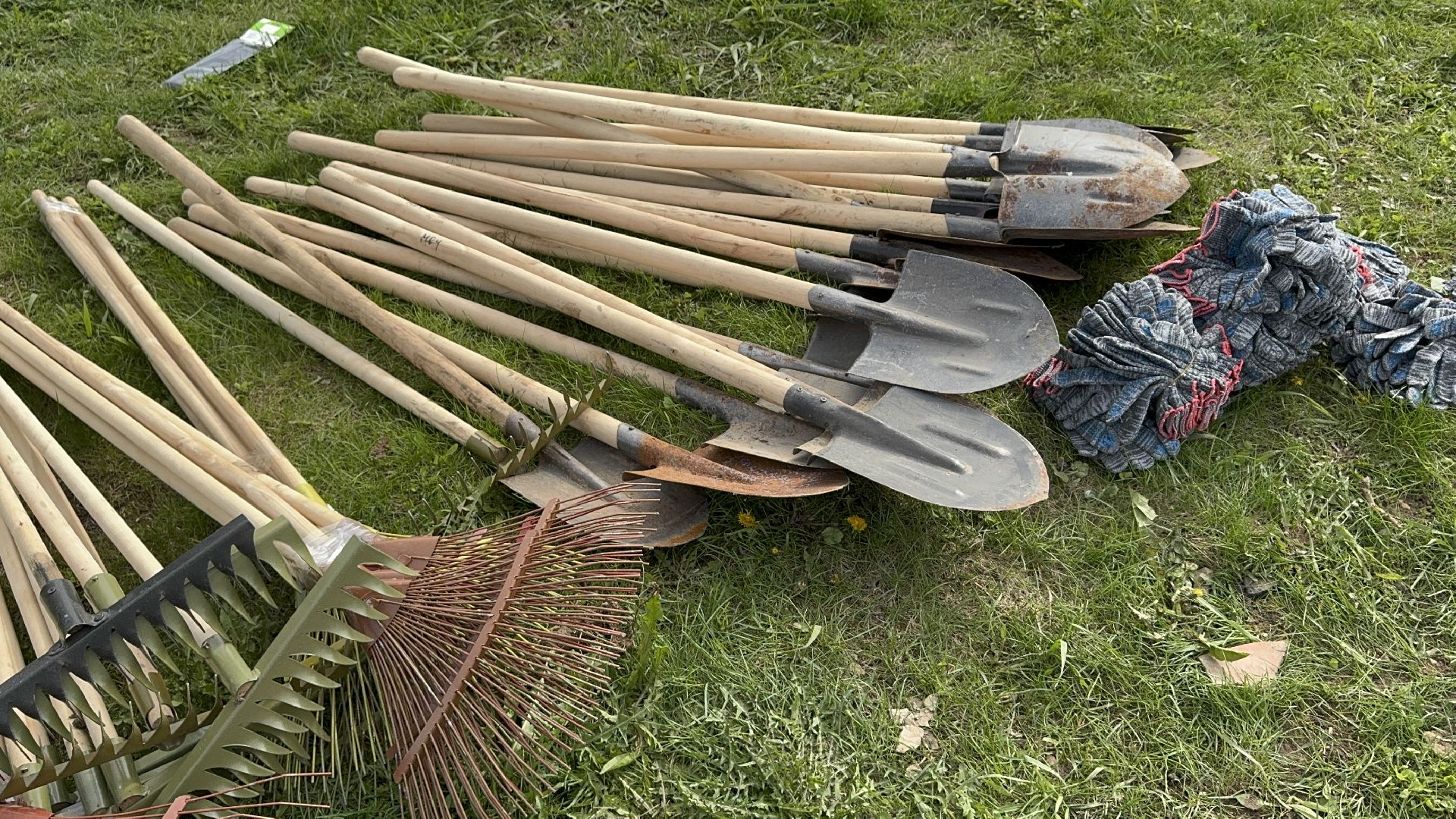 солнечногорск, сад памяти, жители, высадка деревьев, праздник,
