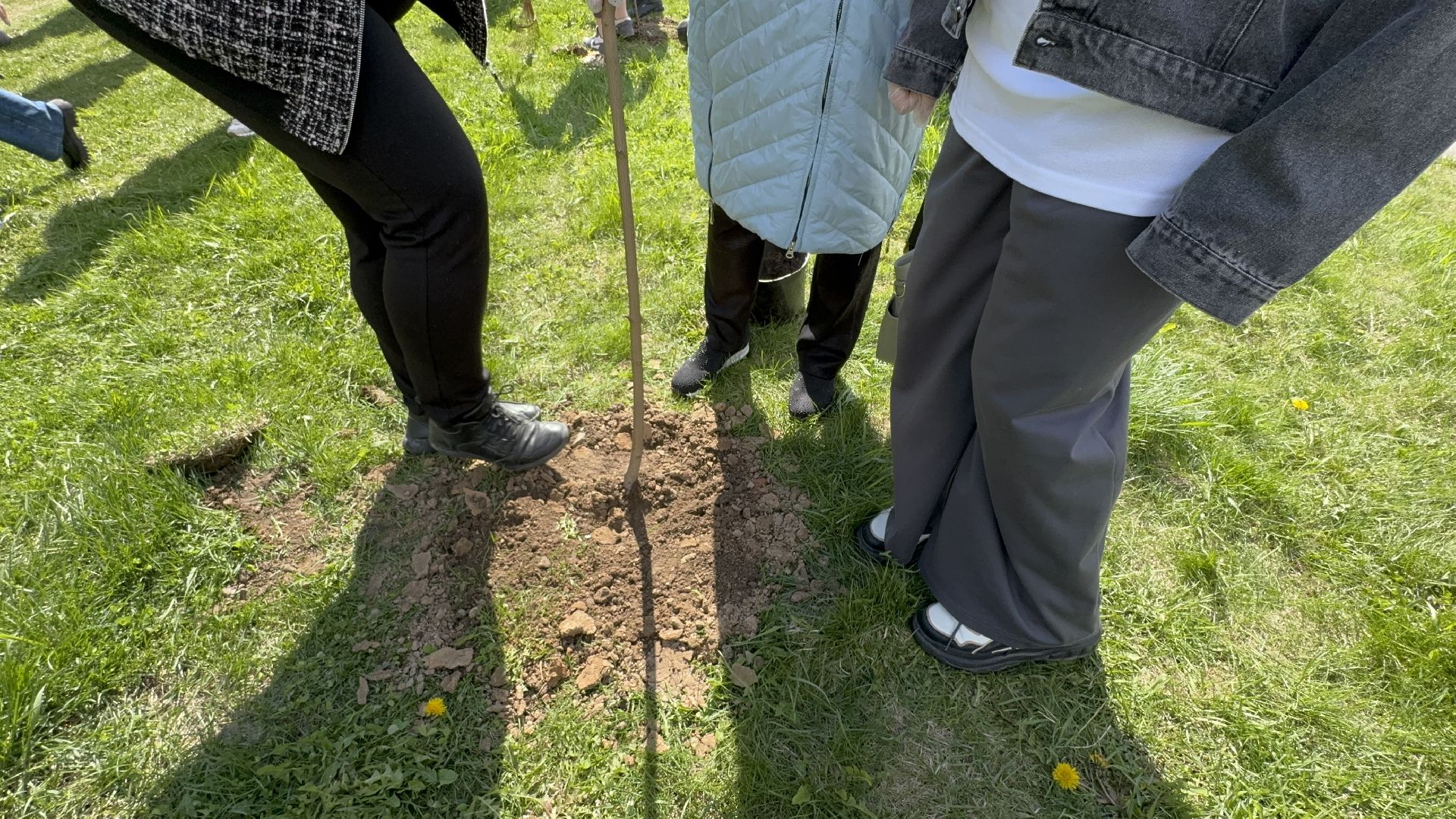 солнечногорск, сад памяти, жители, высадка деревьев, праздник,