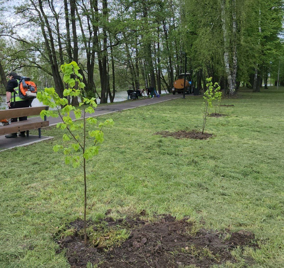 Луховицы #СадПамяти2024 #80летПобеды #ЖиваяПамять #Экология #ВолонтерыМО #ПомнимГордимся #НаследиеПобеды,