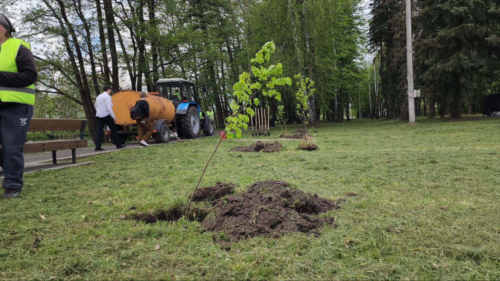 Луховицы #СадПамяти2024 #80летПобеды #ЖиваяПамять #Экология #ВолонтерыМО #ПомнимГордимся #НаследиеПобеды,