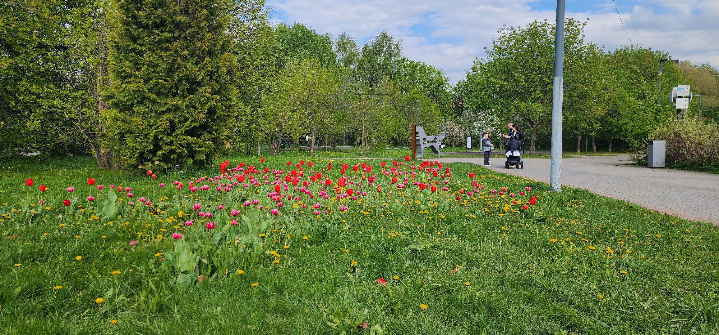 Химки, Благоустройство, День Победы,