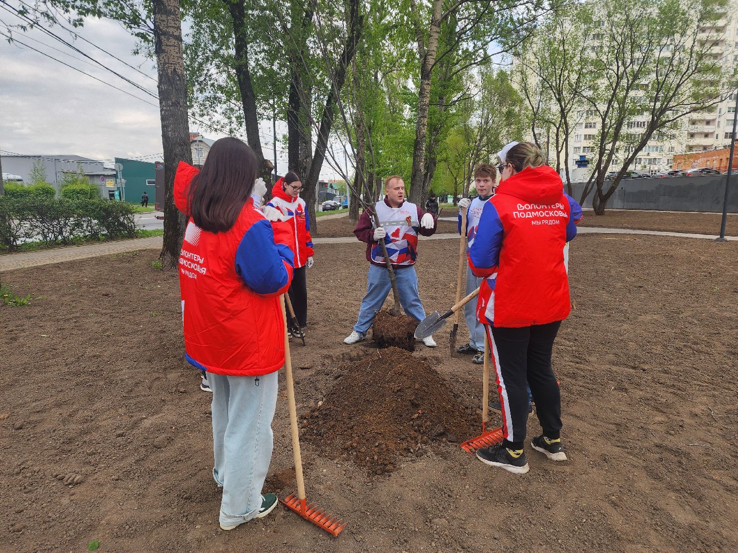 сад памяти, мытищи лайт,