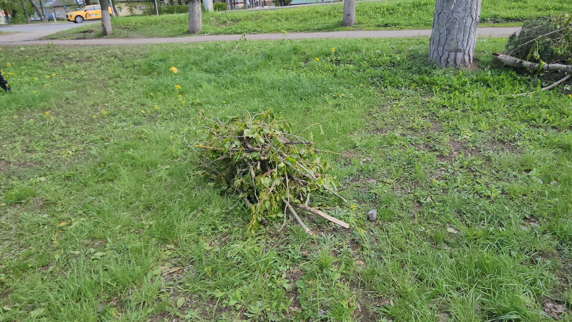 Уборка, Истра,  Уборка улиц,