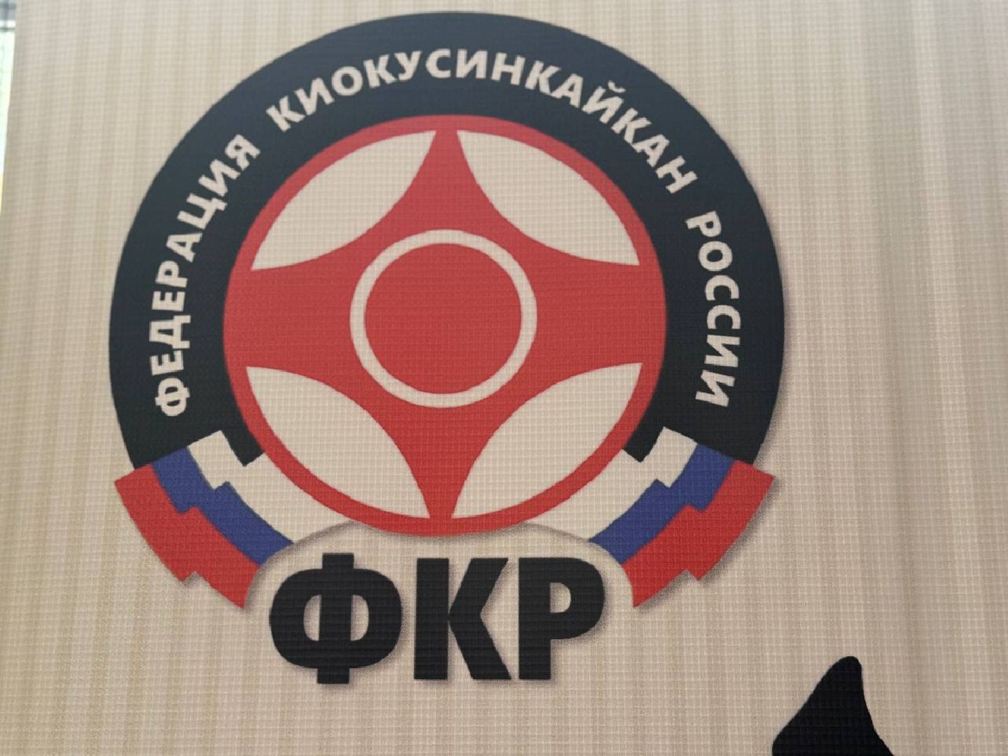 карате, япония, чемпионат мира,