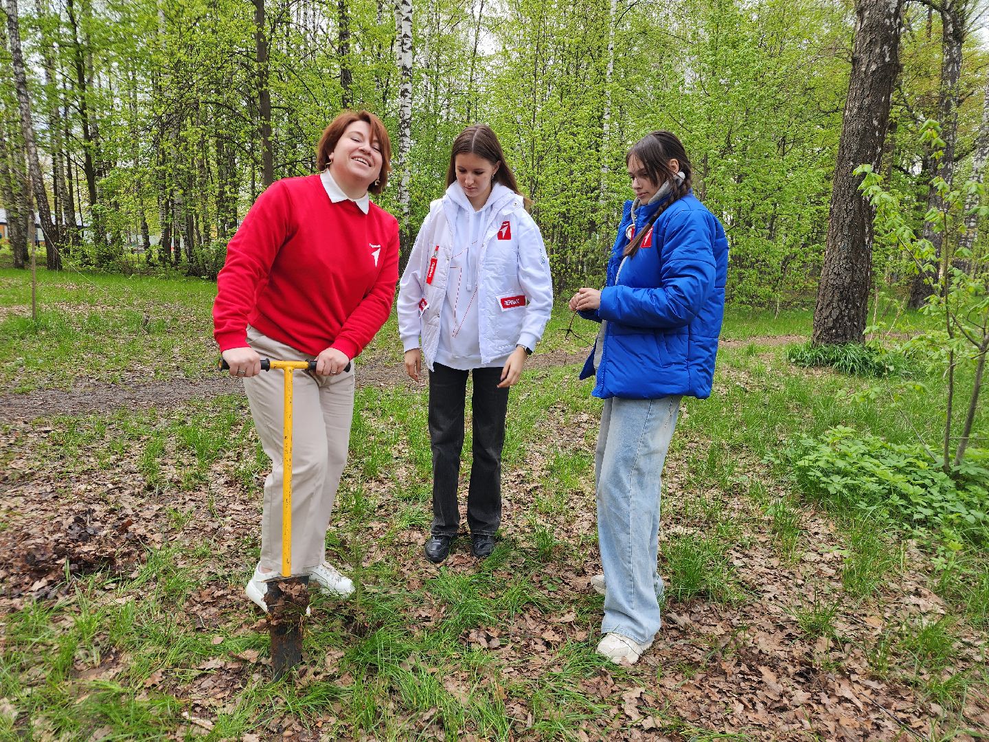 фрязино, акция памяти погибших, посадка деревьев, сво,