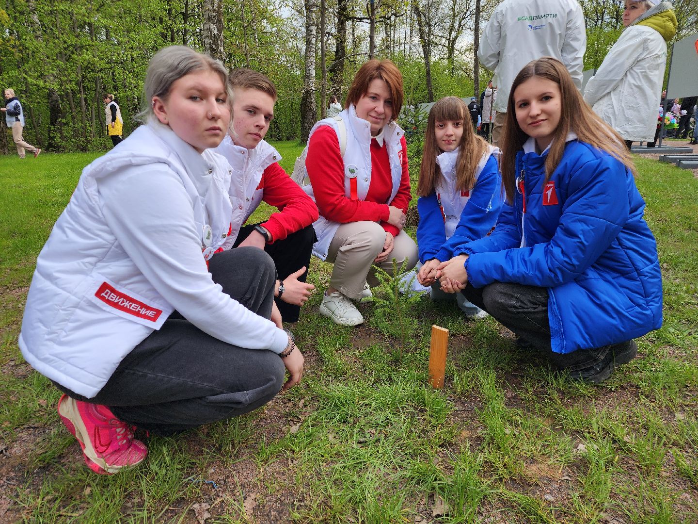 фрязино, акция памяти погибших, посадка деревьев, сво,
