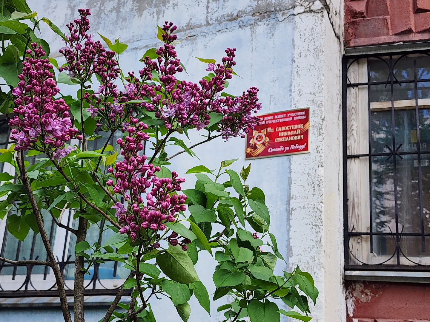 мытищи, именная табличка,