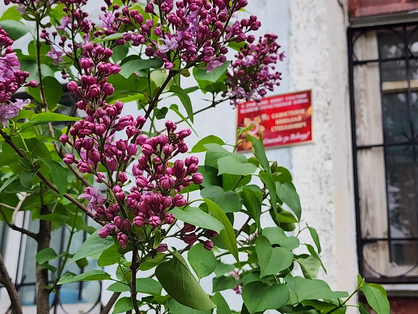 мытищи, именная табличка,