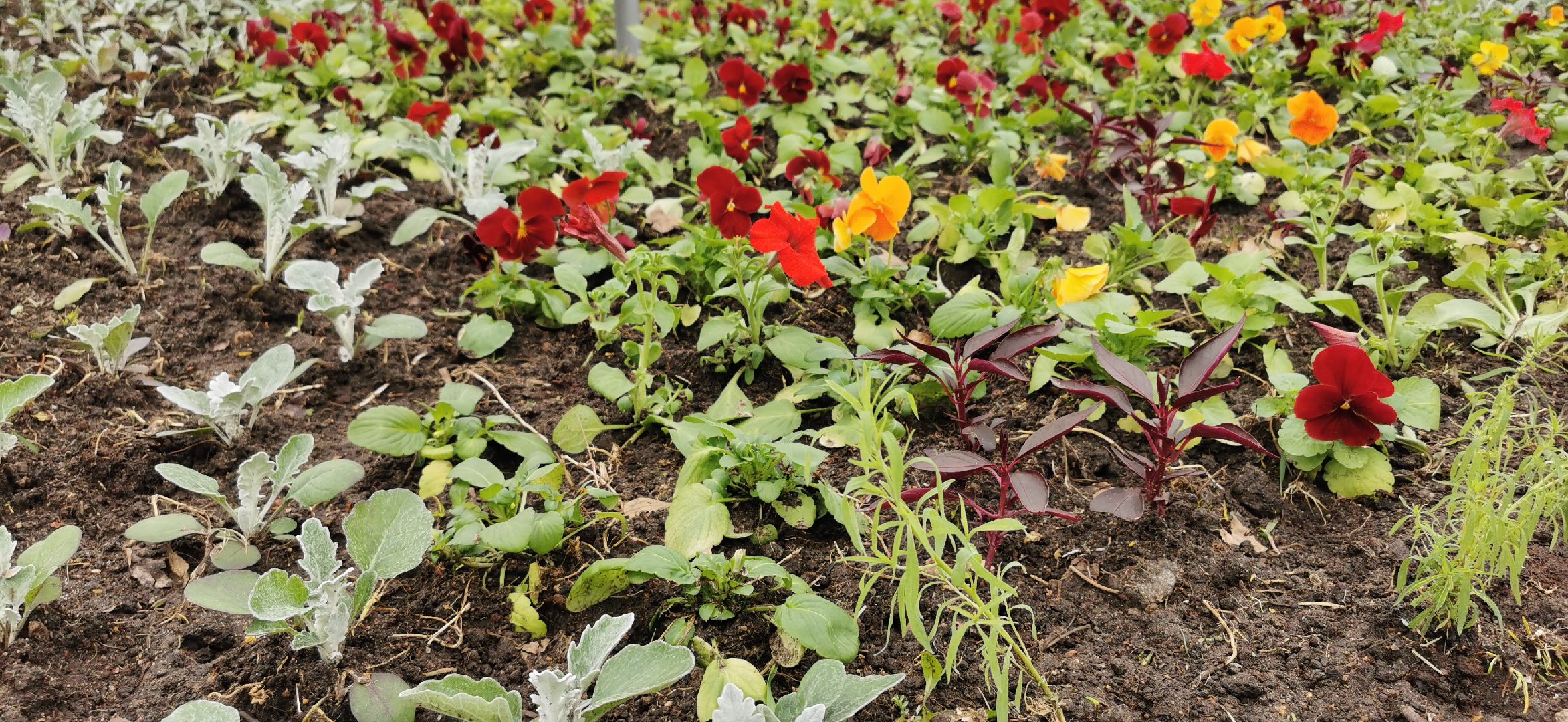 благоустройство, озеленение,