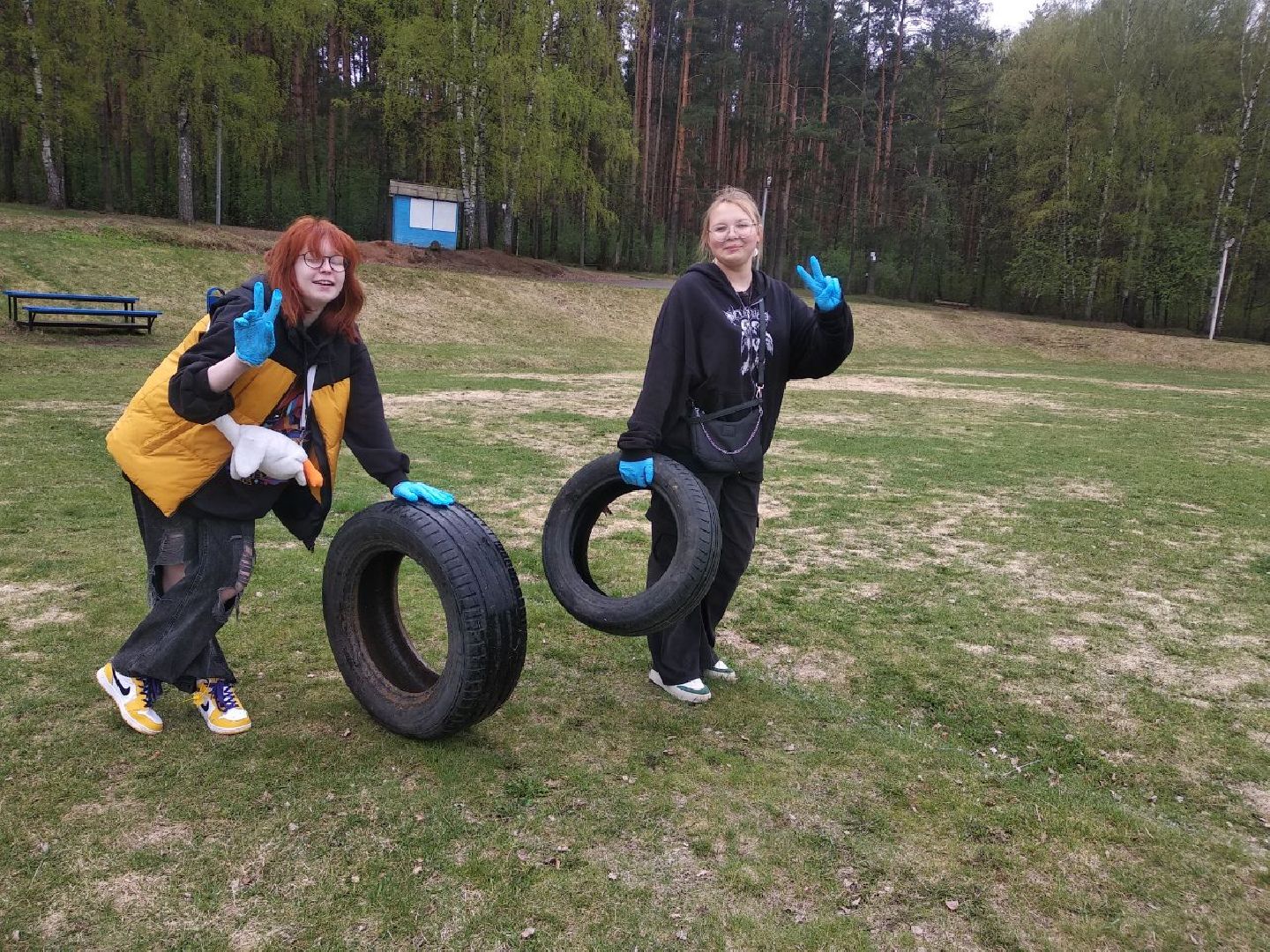 Дмитров, ЦЗВС, плоггинг