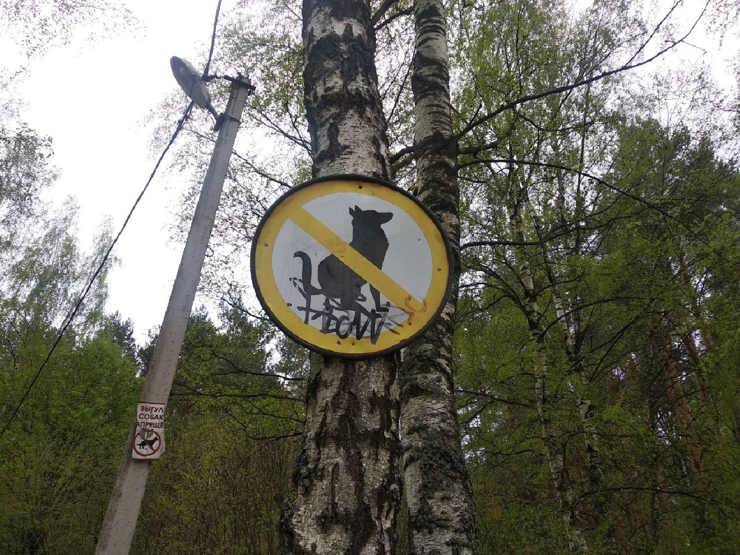 Дмитров, ЦЗВС, плоггинг