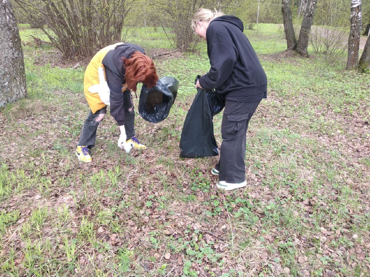 Дмитров, ЦЗВС, плоггинг
