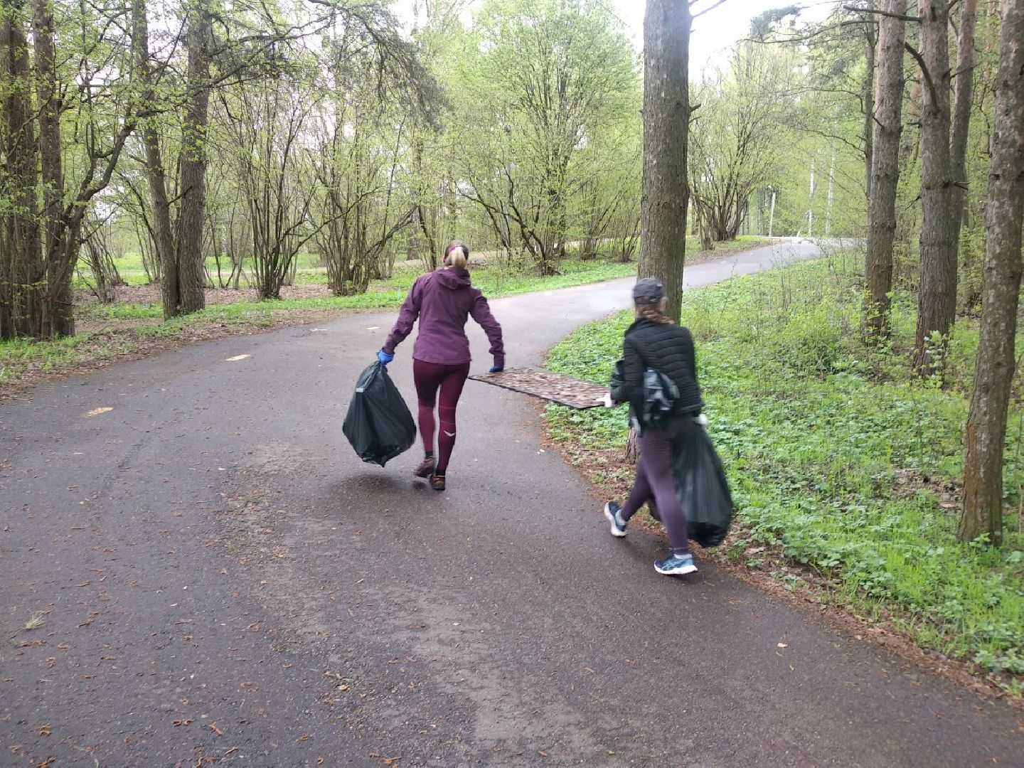 Дмитров, ЦЗВС, плоггинг