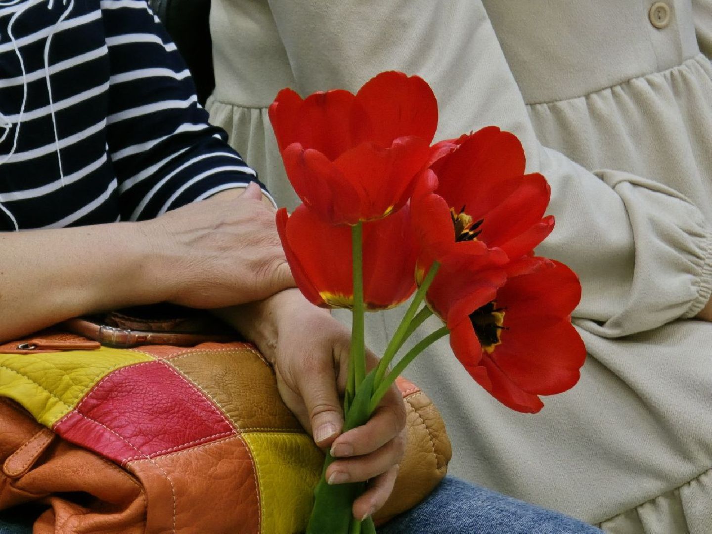 можайск, можайский муниципальный округ, подмосковье, открытый диалог, общество, связь поколений,