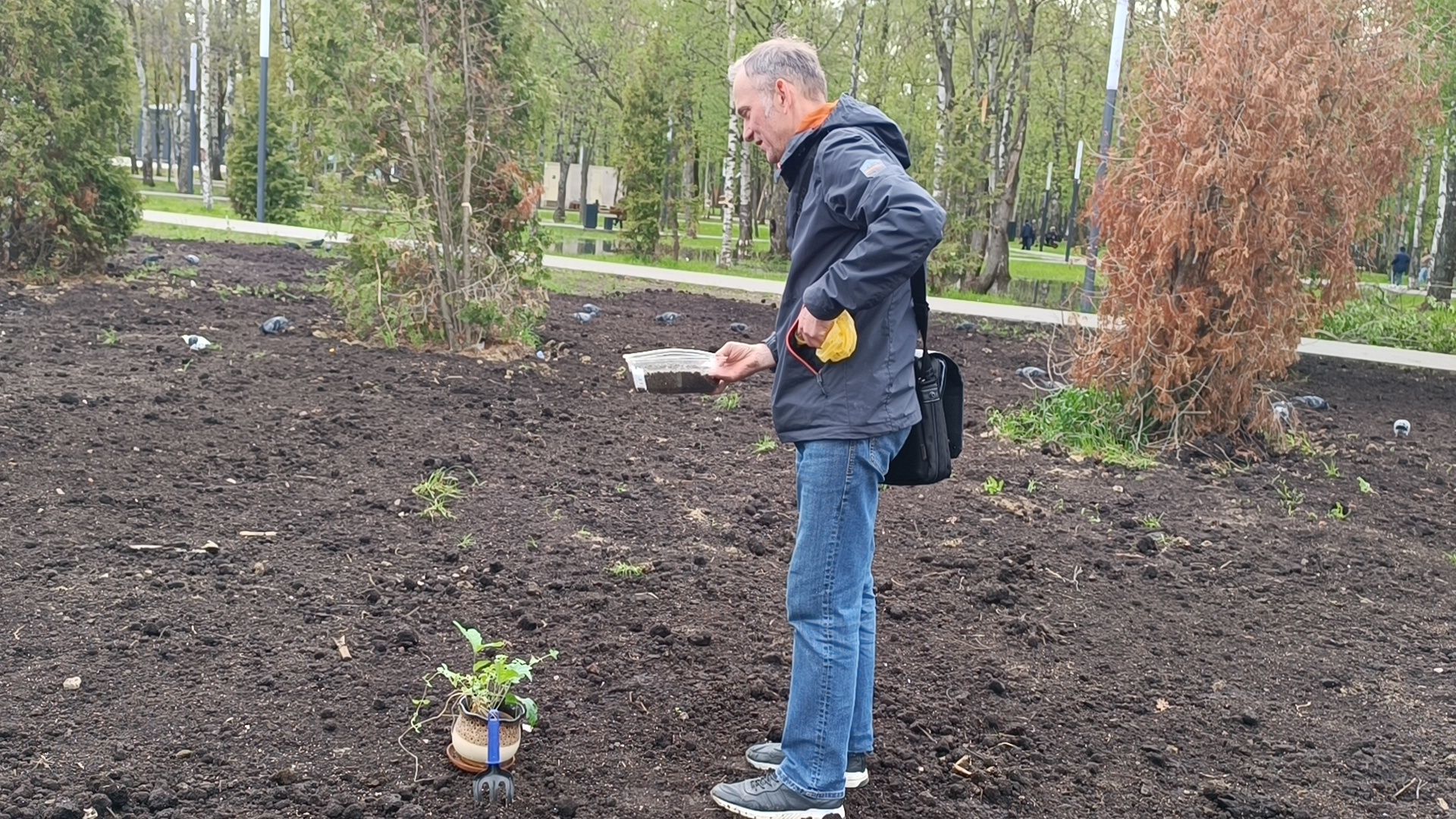 экология, дуб, лобня, парк,