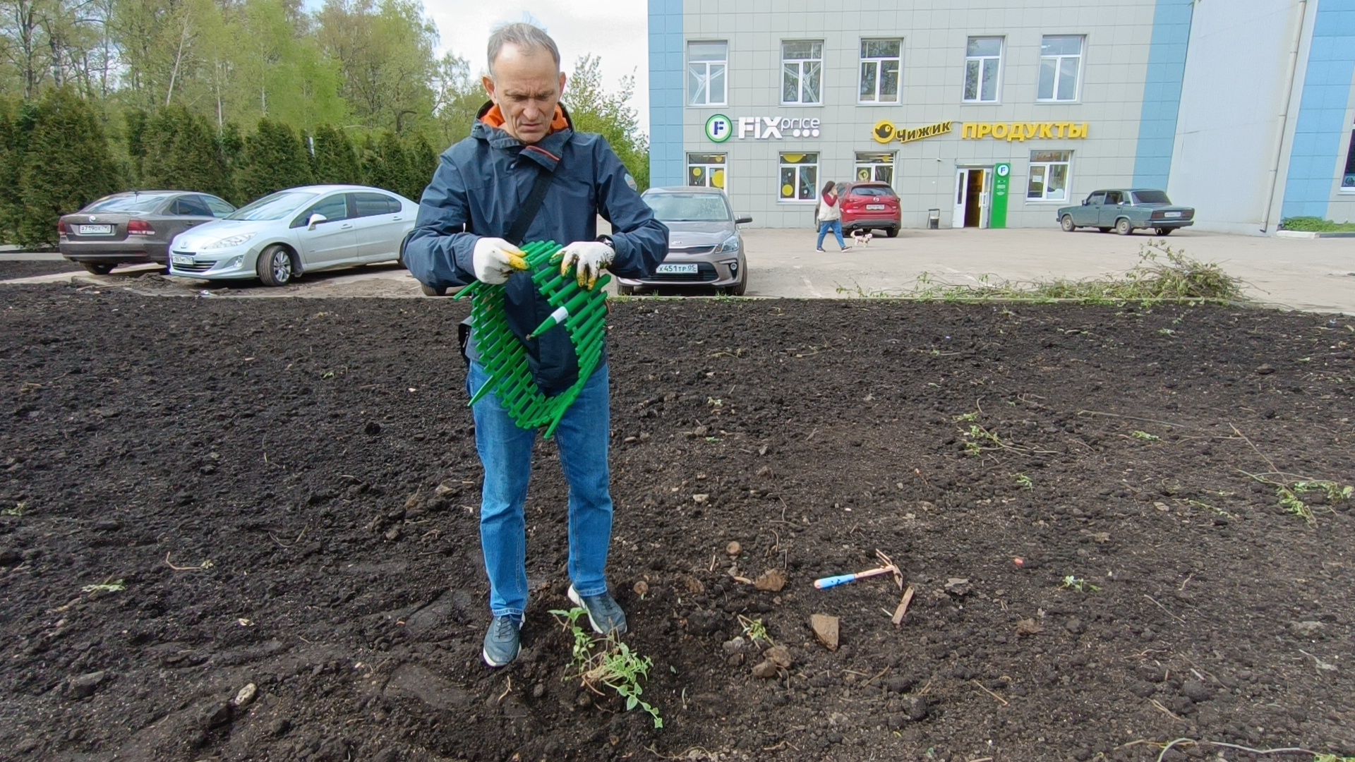 экология, дуб, лобня, парк,