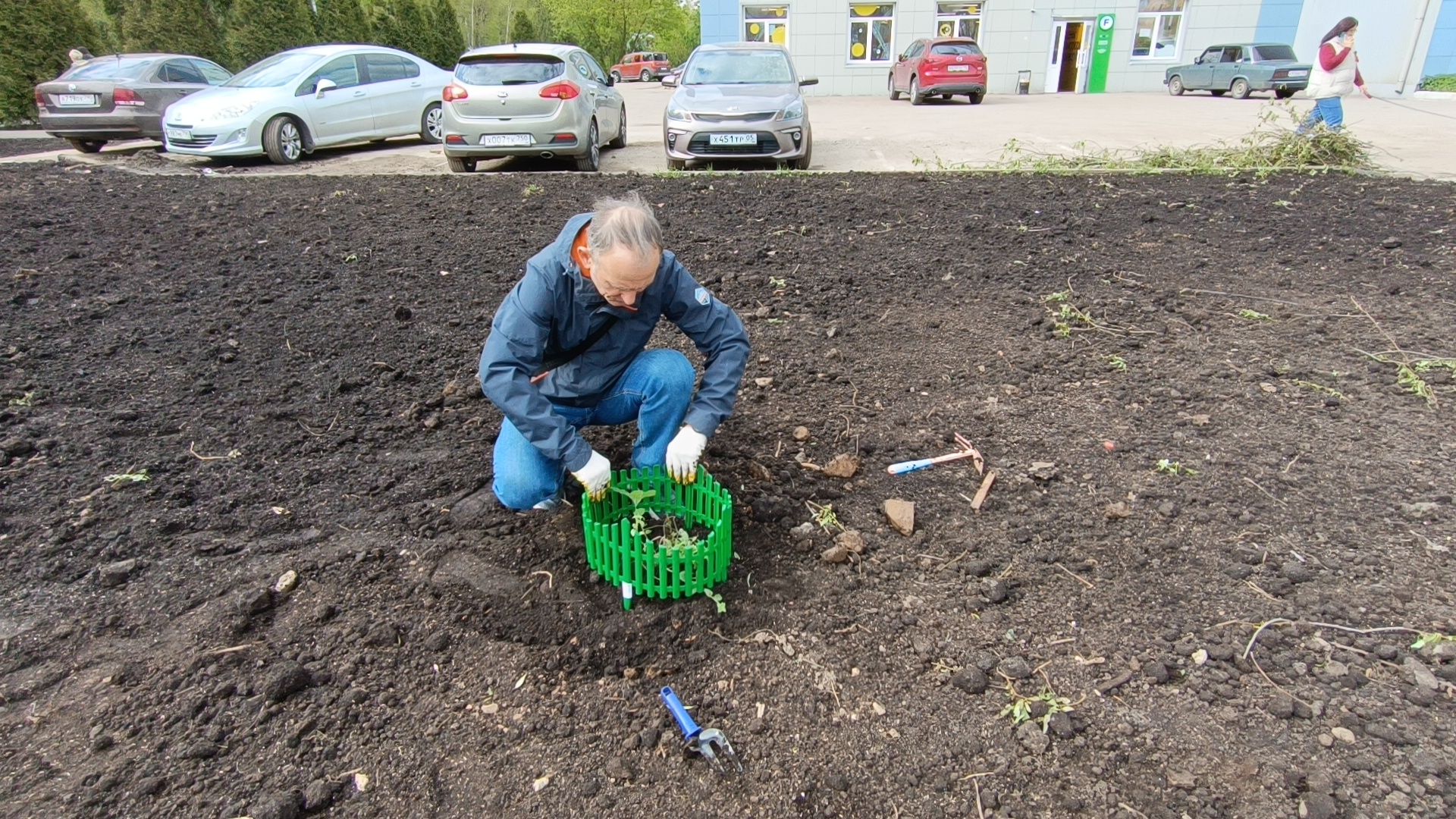 экология, дуб, лобня, парк,
