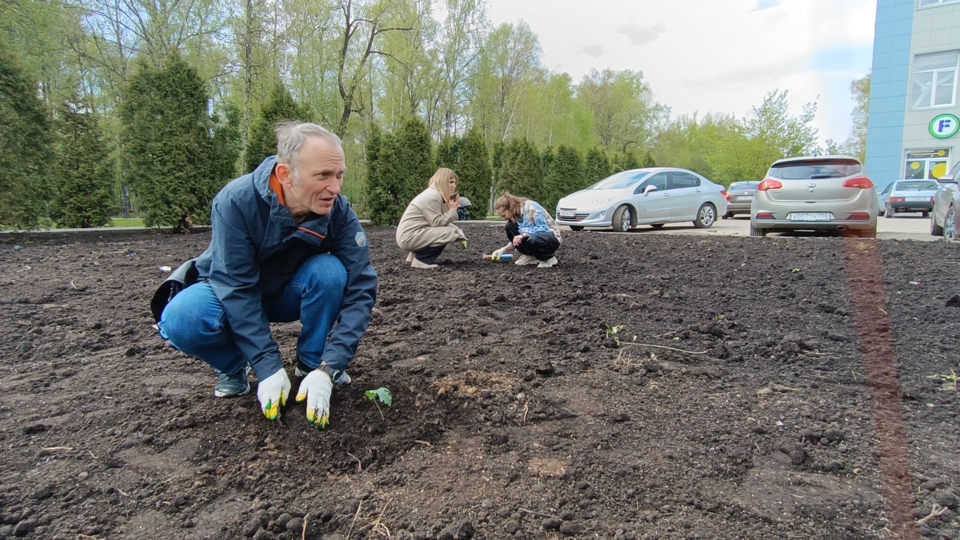 экология, дуб, лобня, парк,